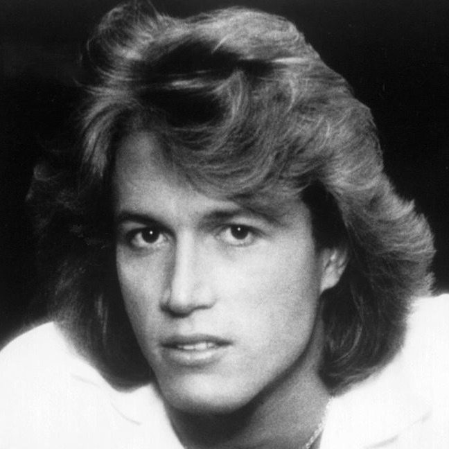 Andy Gibb Portrait