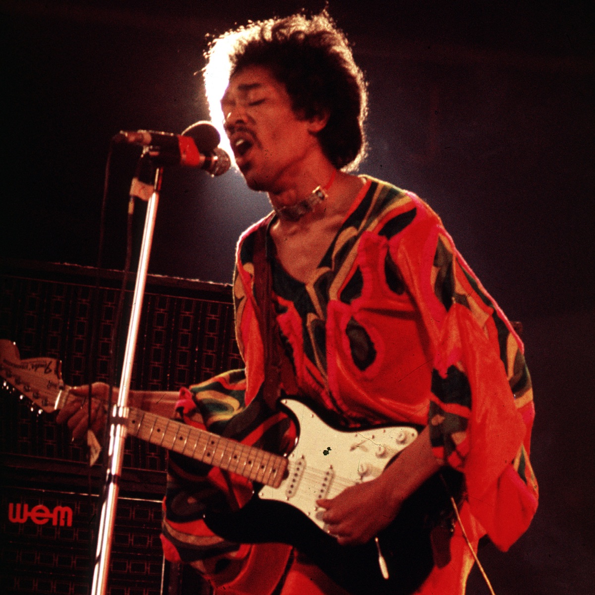 The Jimi Hendrix Experience Portrait