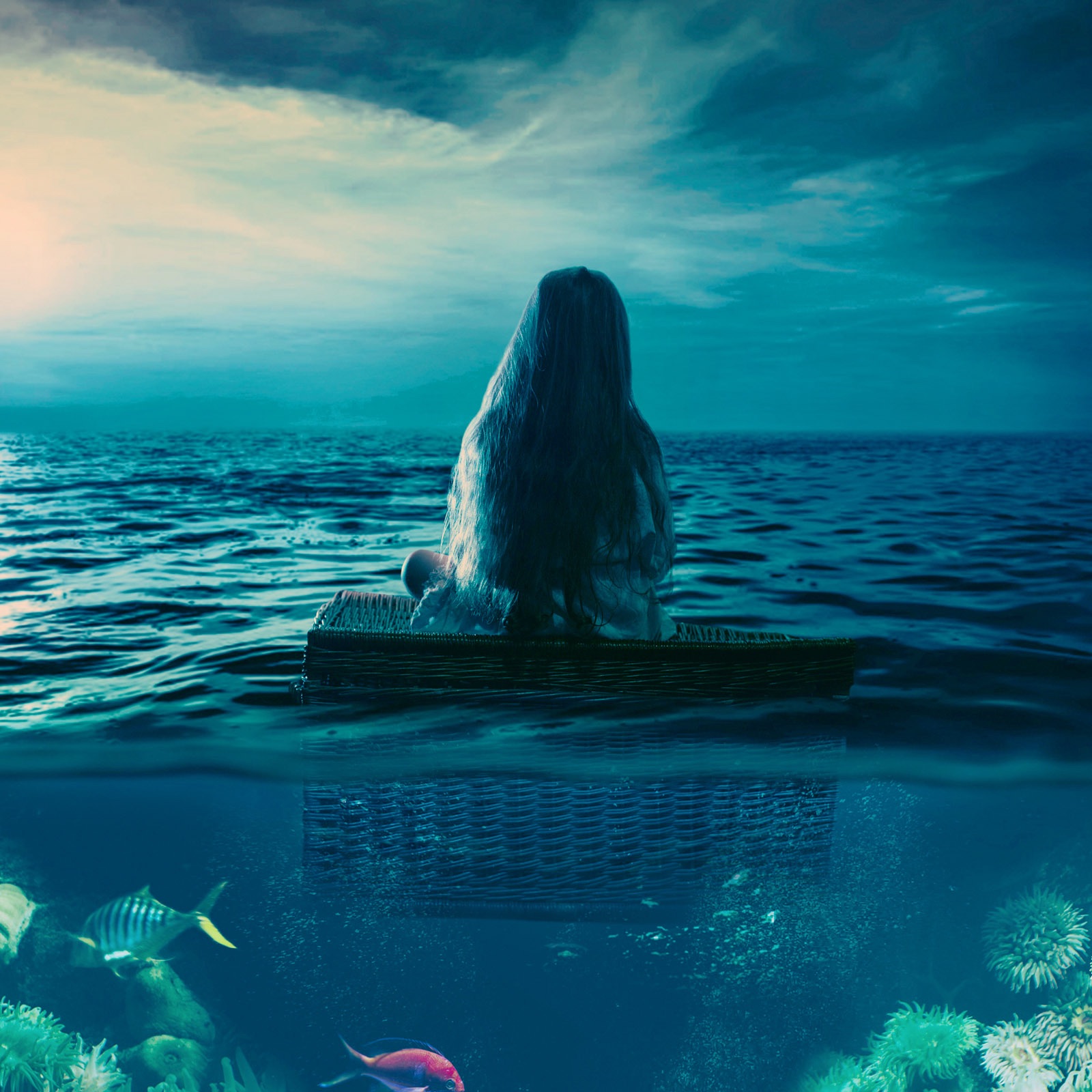 Stella Starlight Trio Portrait