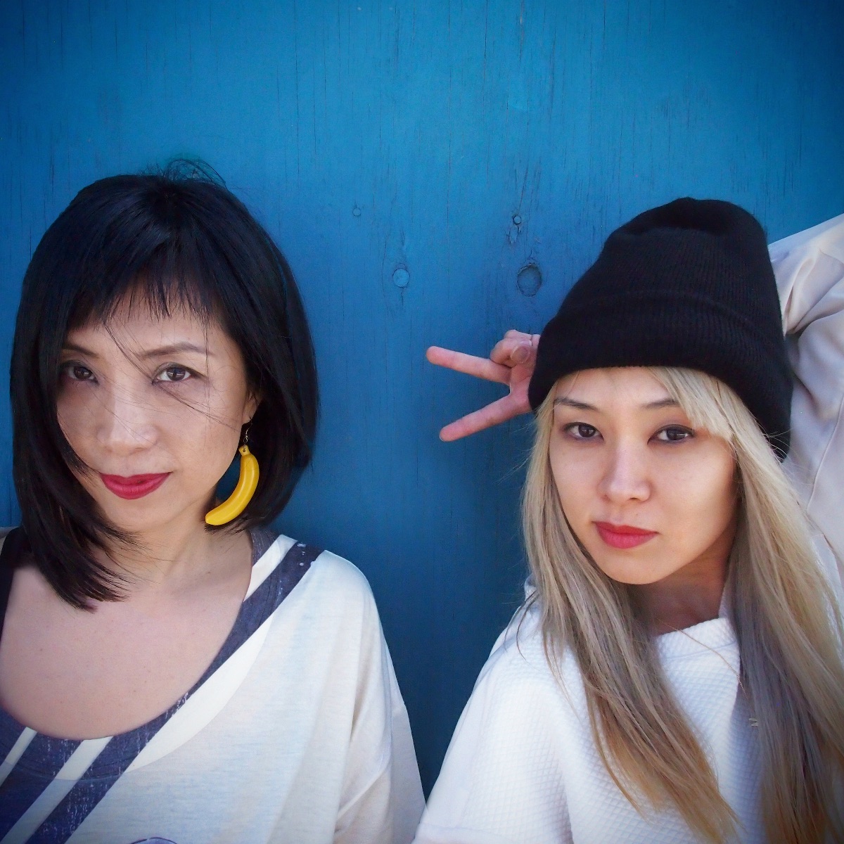 Cibo Matto Portrait