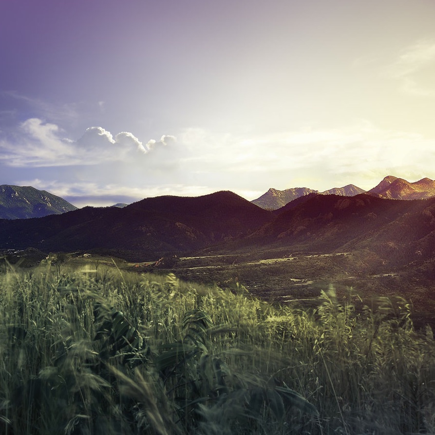 Rudy Adrian portrait