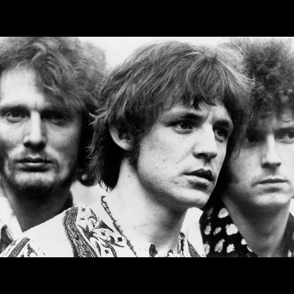 Cream Portrait