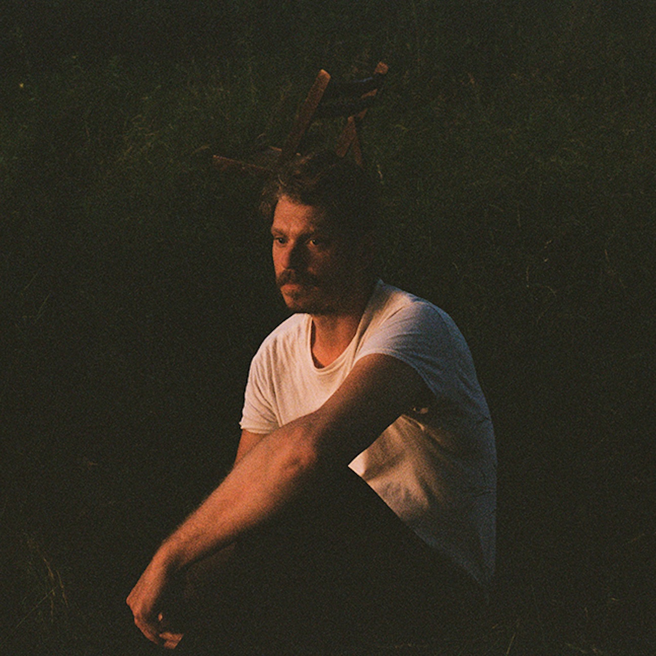 The Deep Dark Woods Portrait