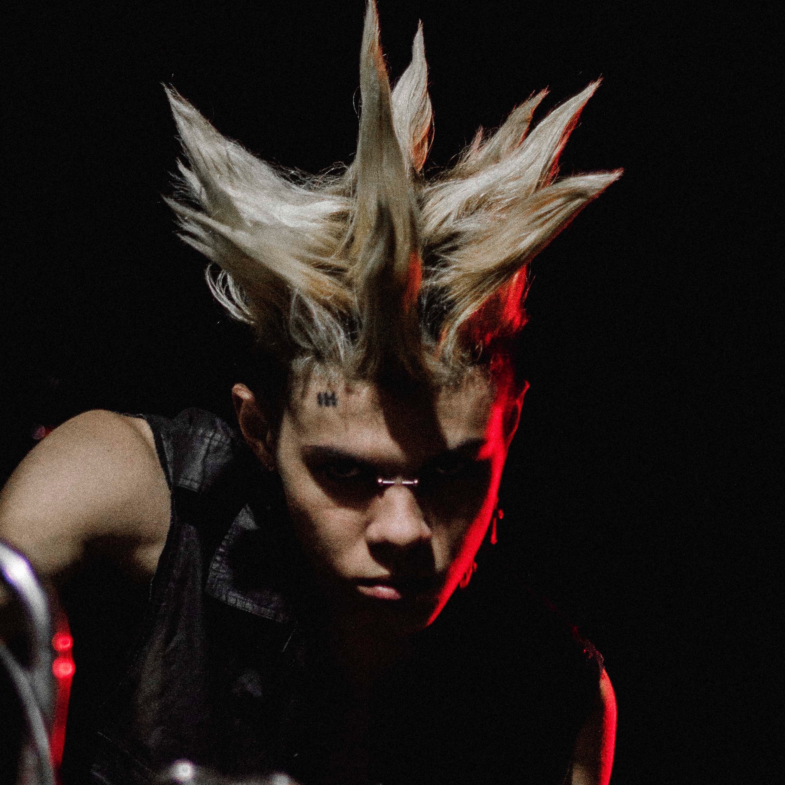 Nascar Aloe Portrait