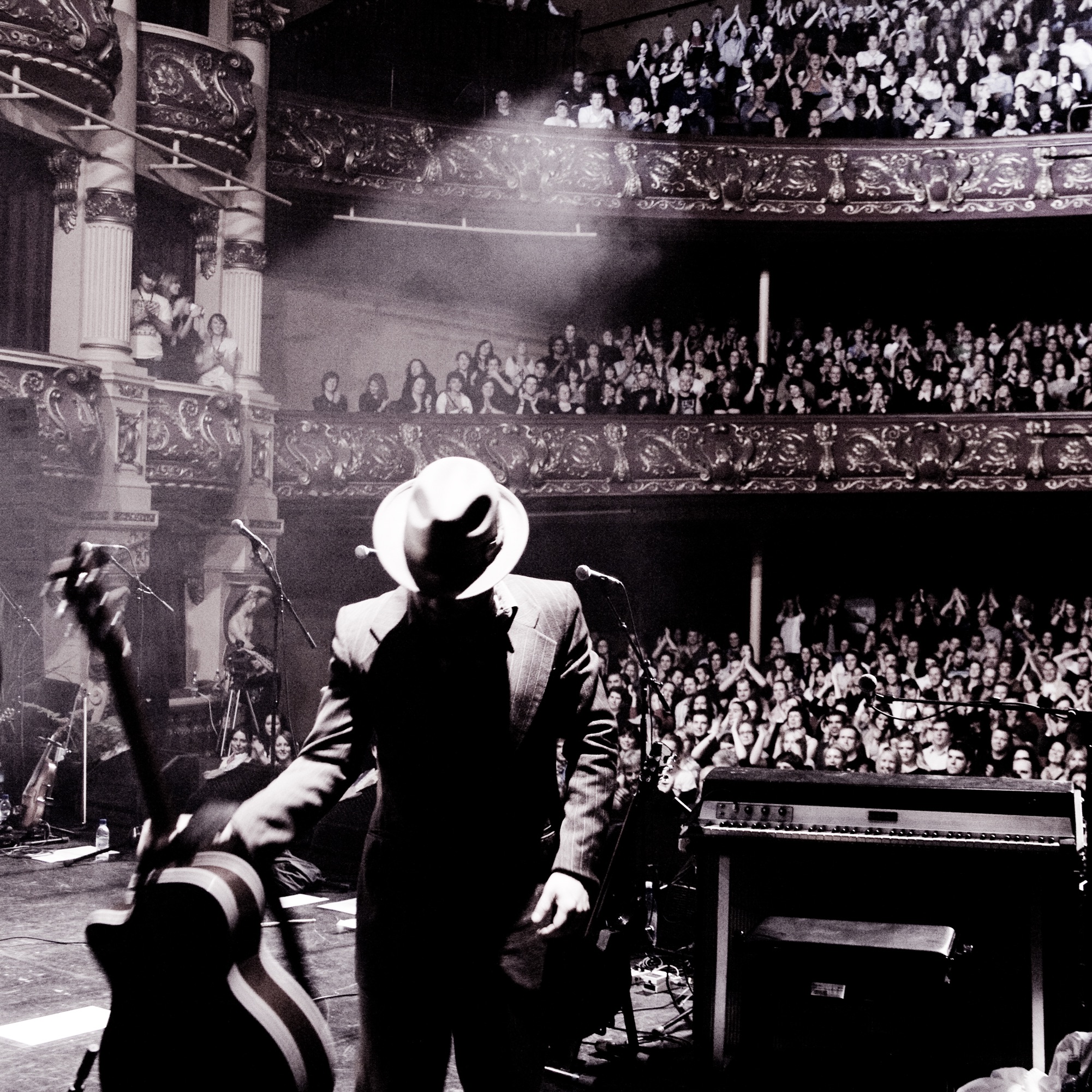 Fly My Pretties Portrait