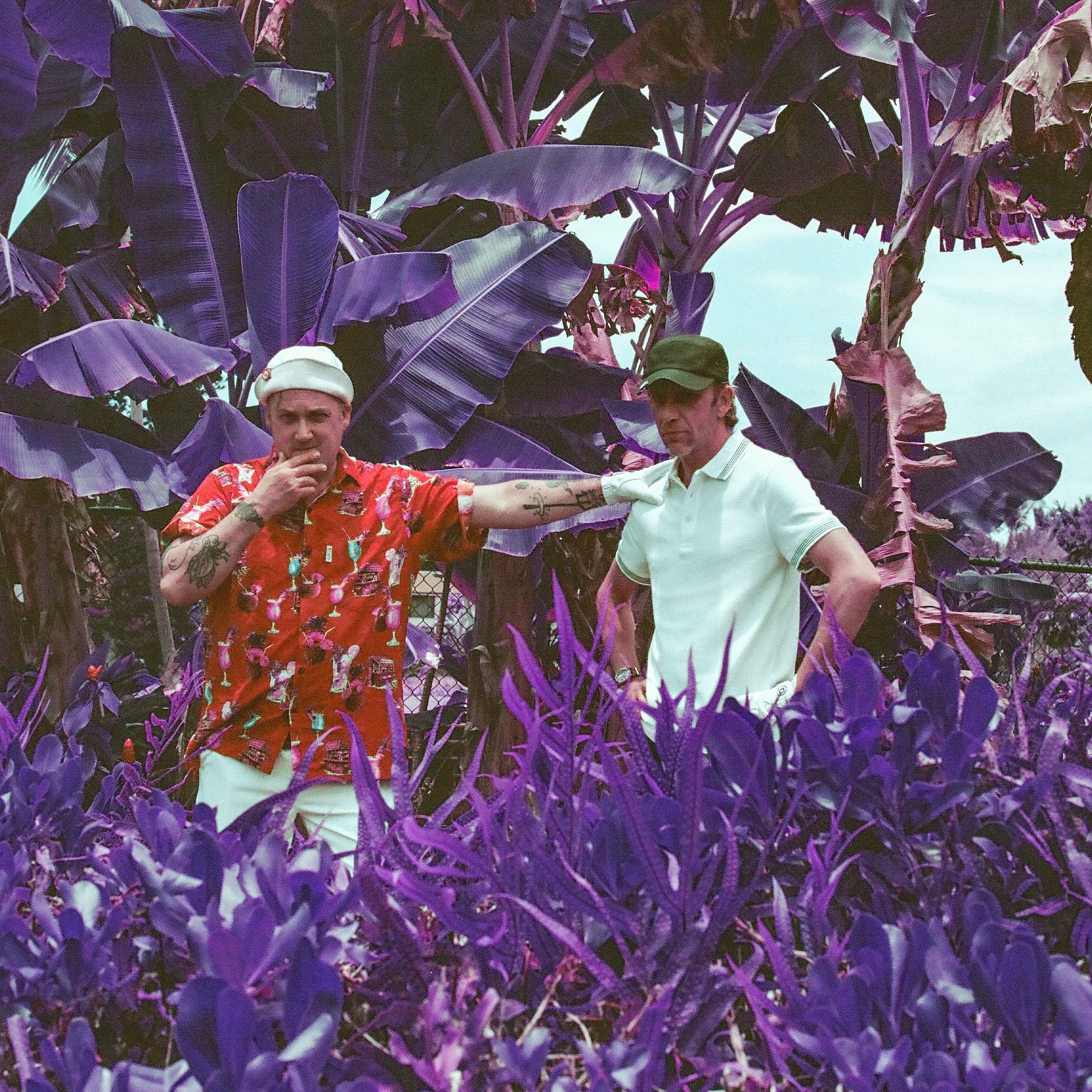 Modest Mouse Portrait