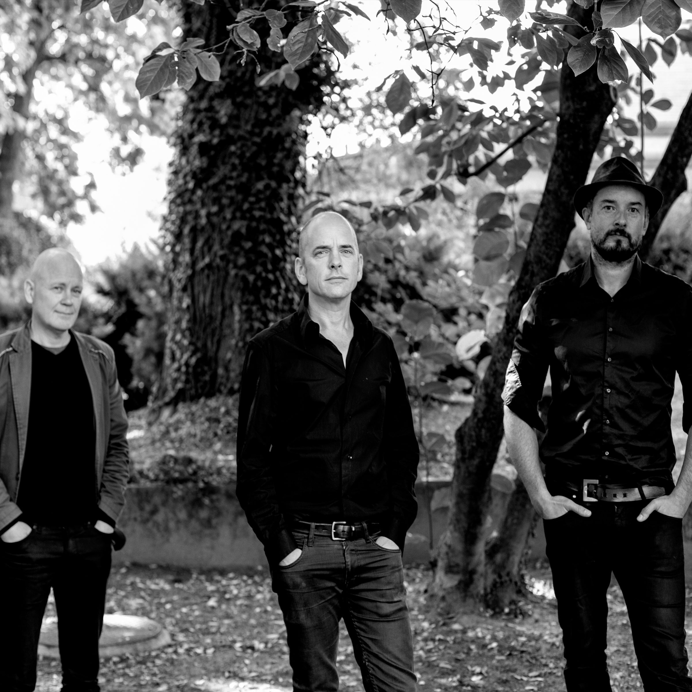 Tord Gustavsen Trio Portrait