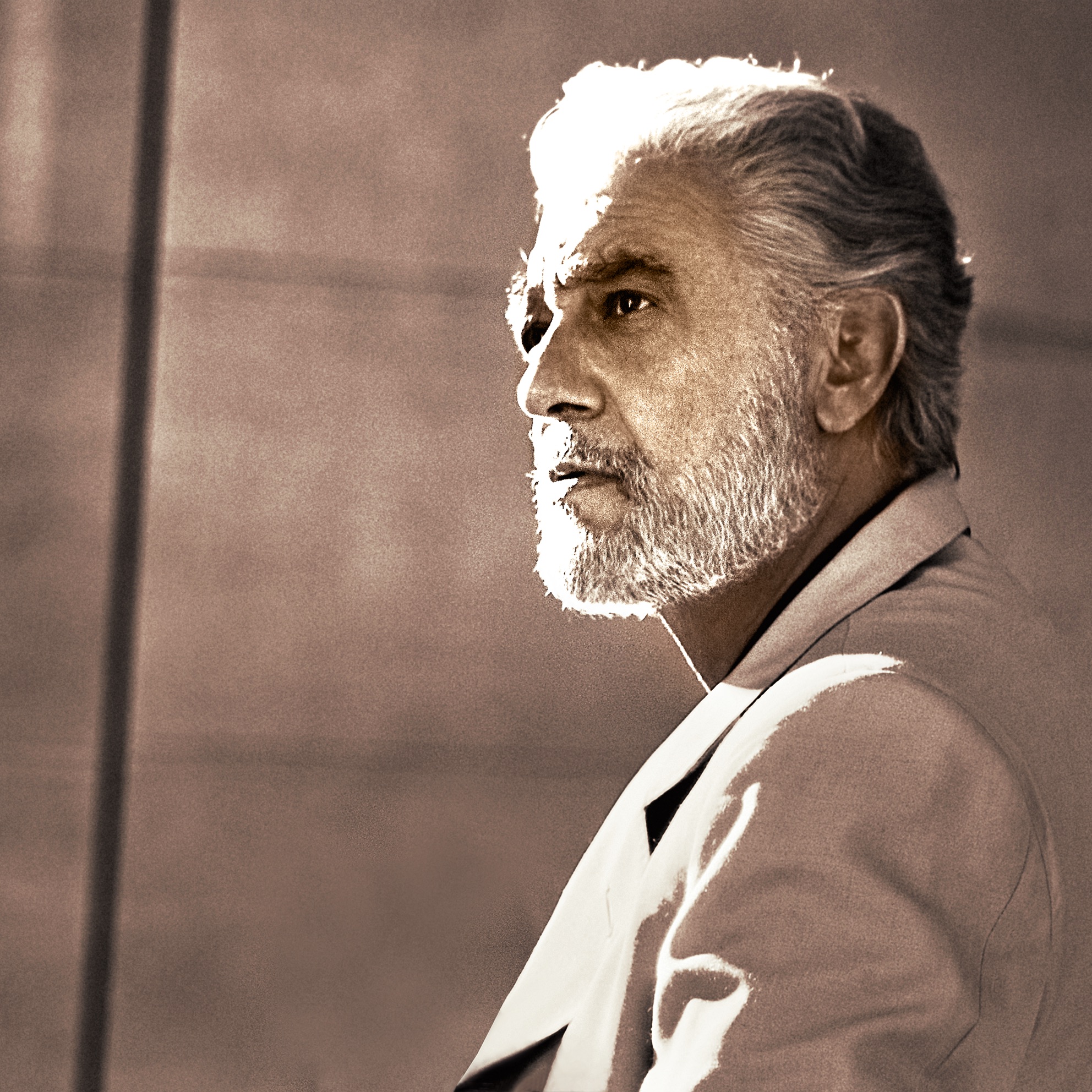 Plácido Domingo portrait