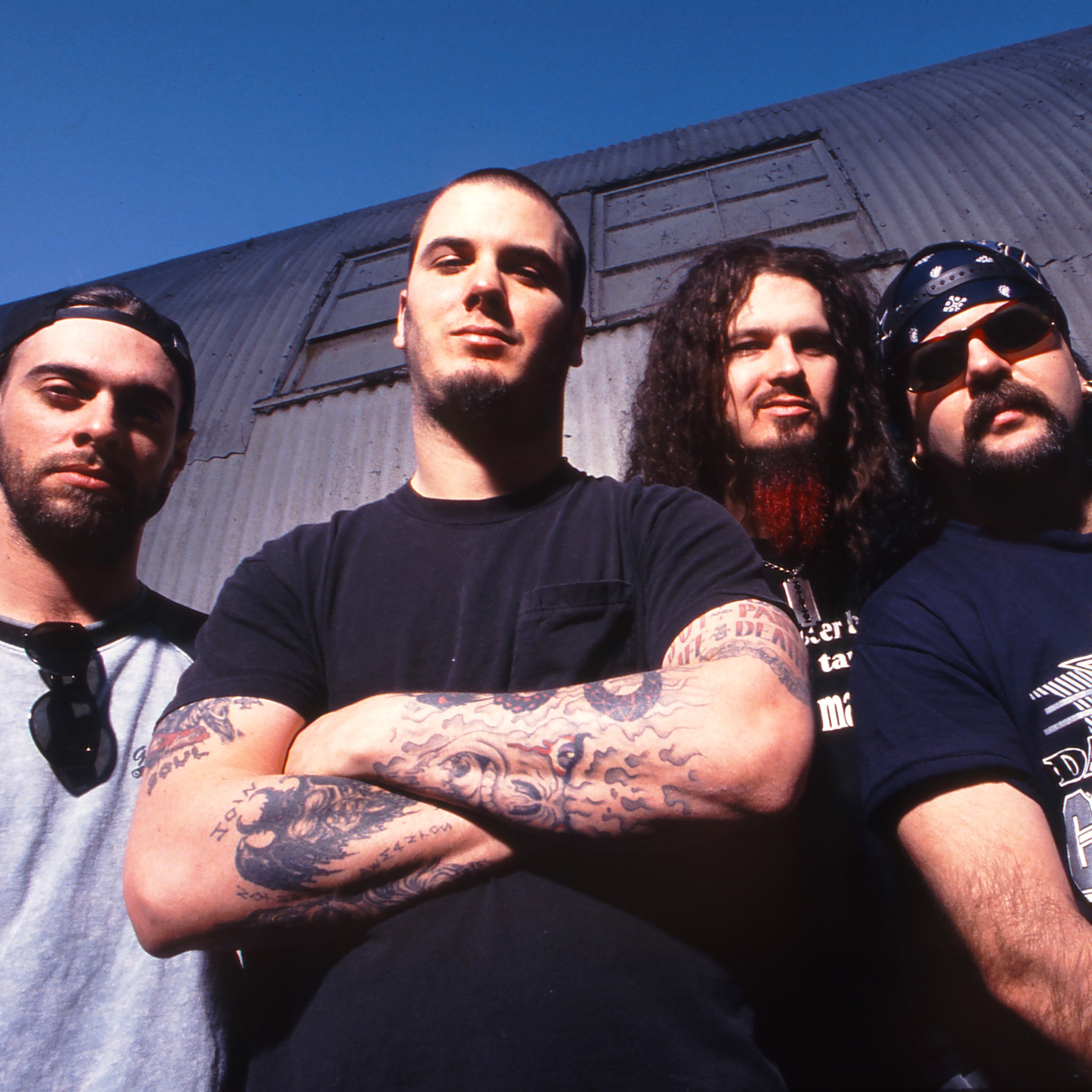Pantera Portrait