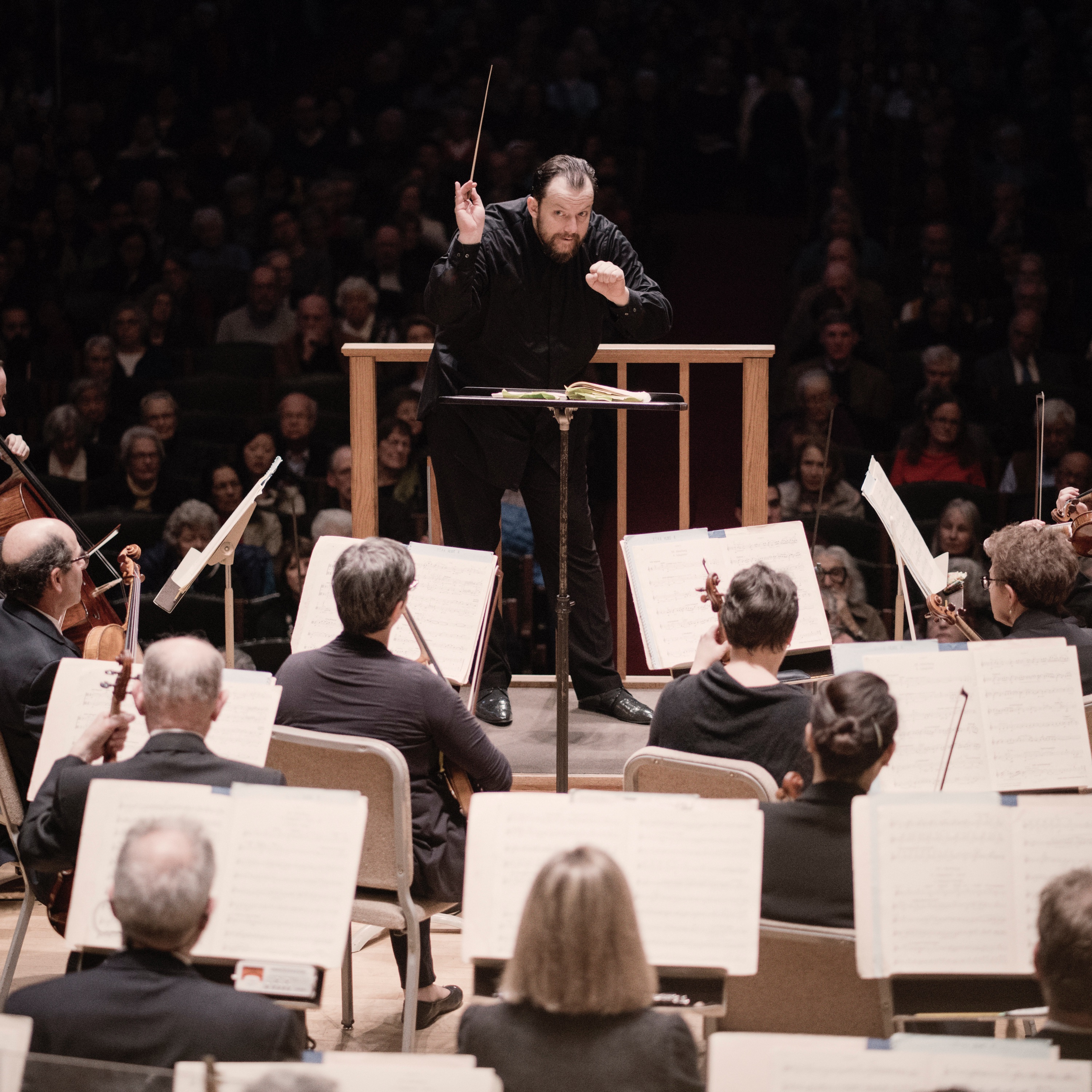 Boston Symphony Orchestra Portrait