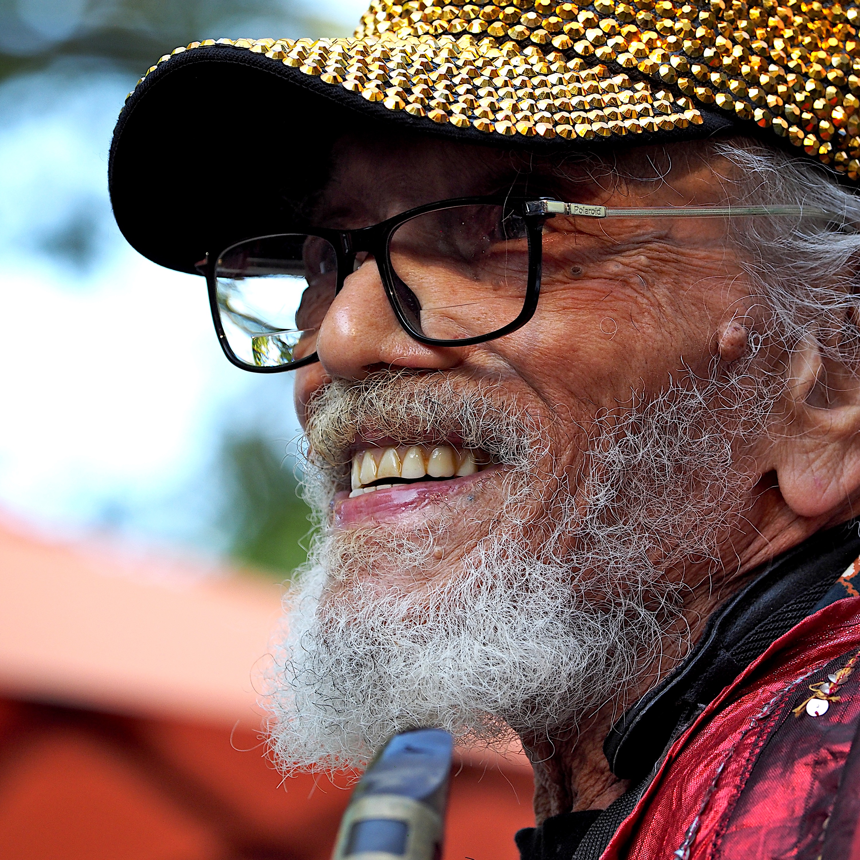 Sun Ra Arkestra Portrait