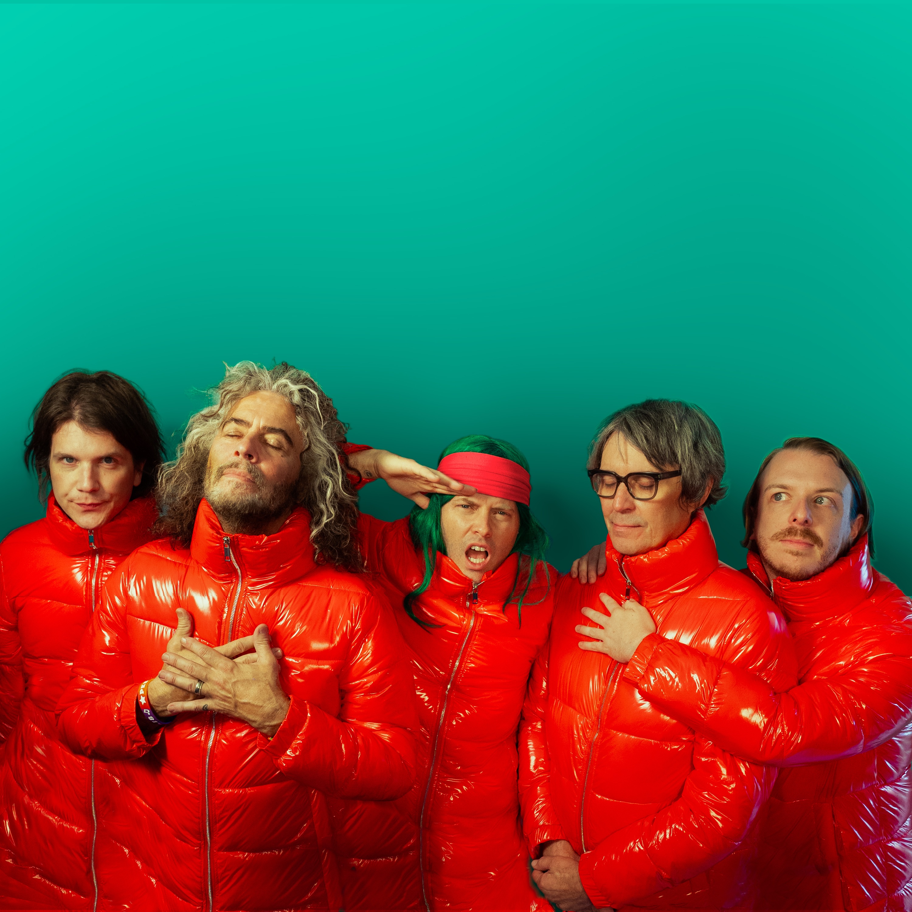 The Flaming Lips Portrait