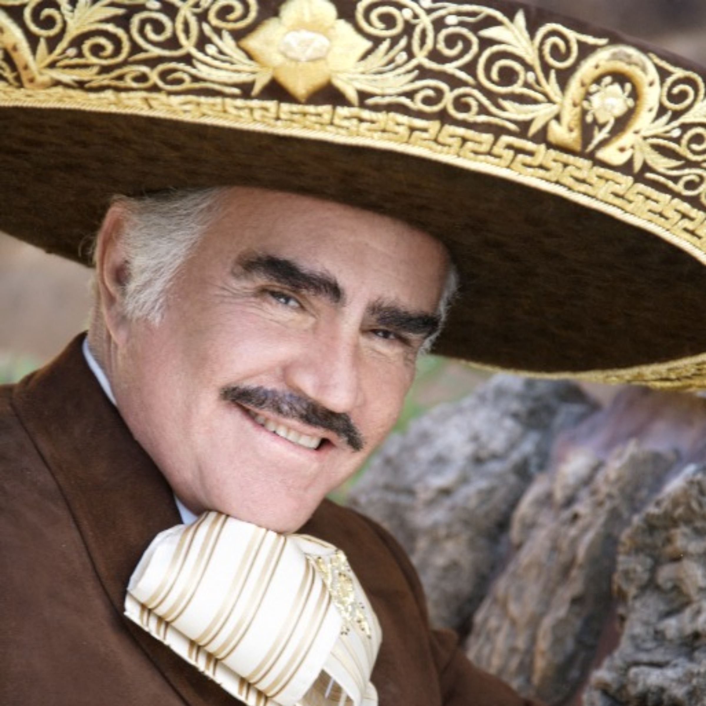 Vicente Fernández Portrait