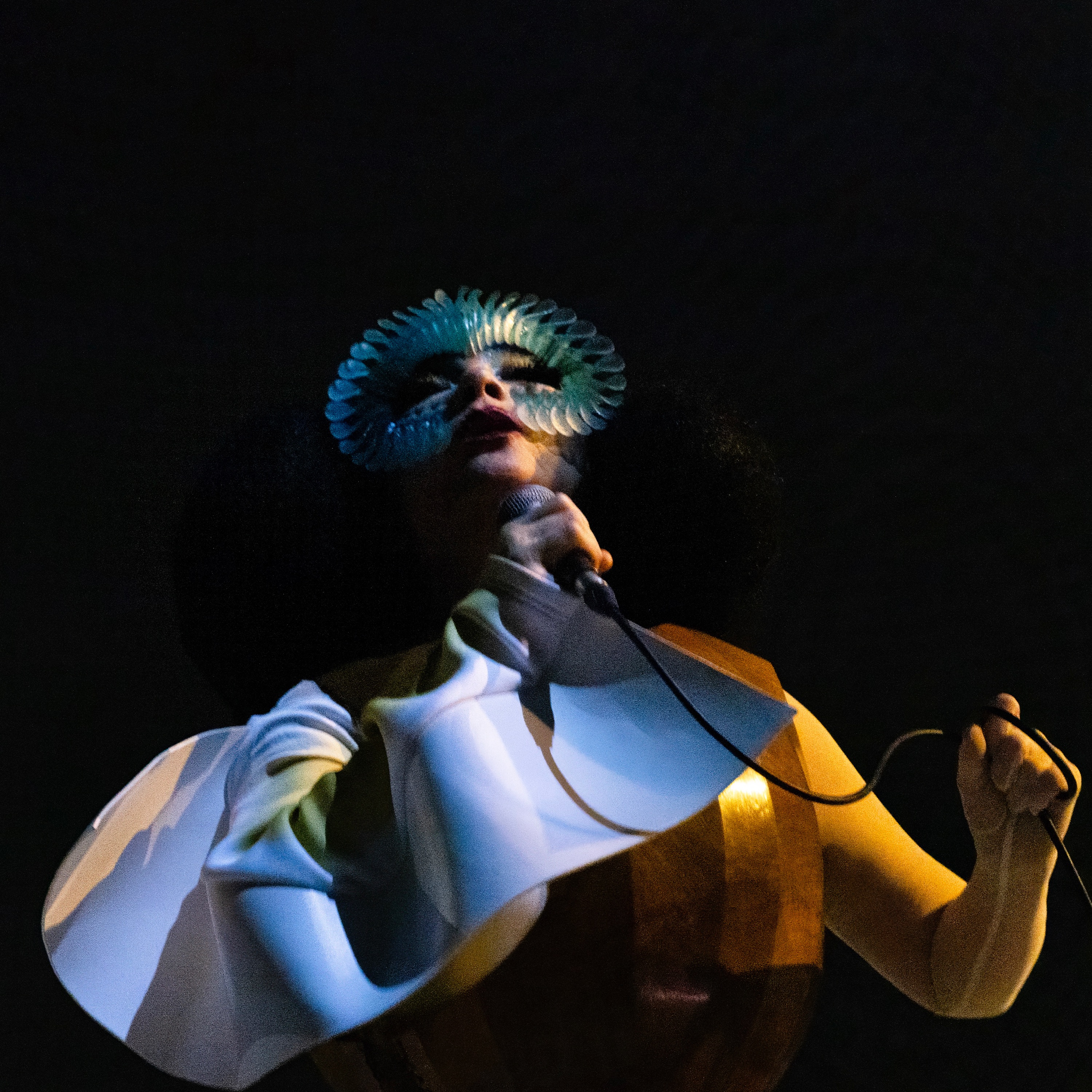 Björk Portrait