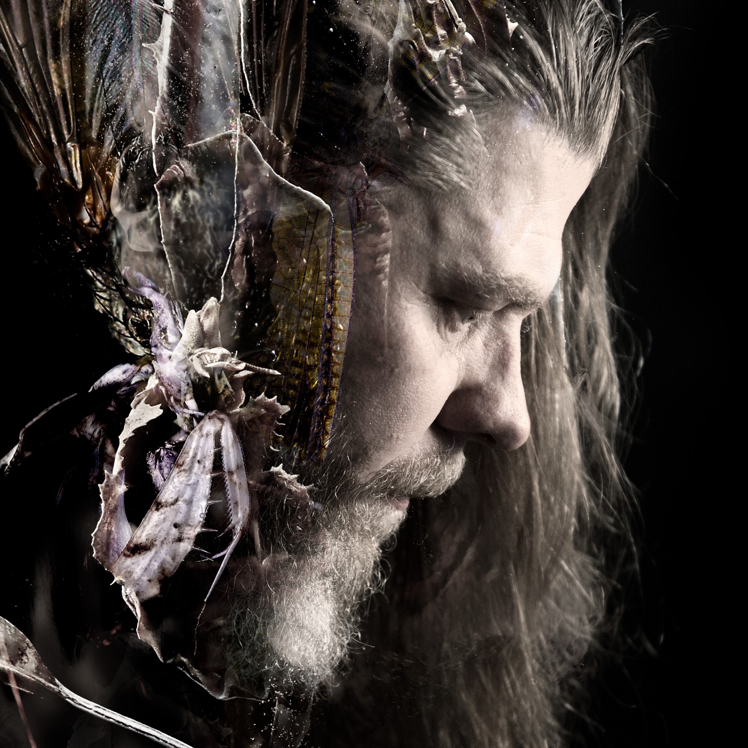 Diary of Dreams Portrait