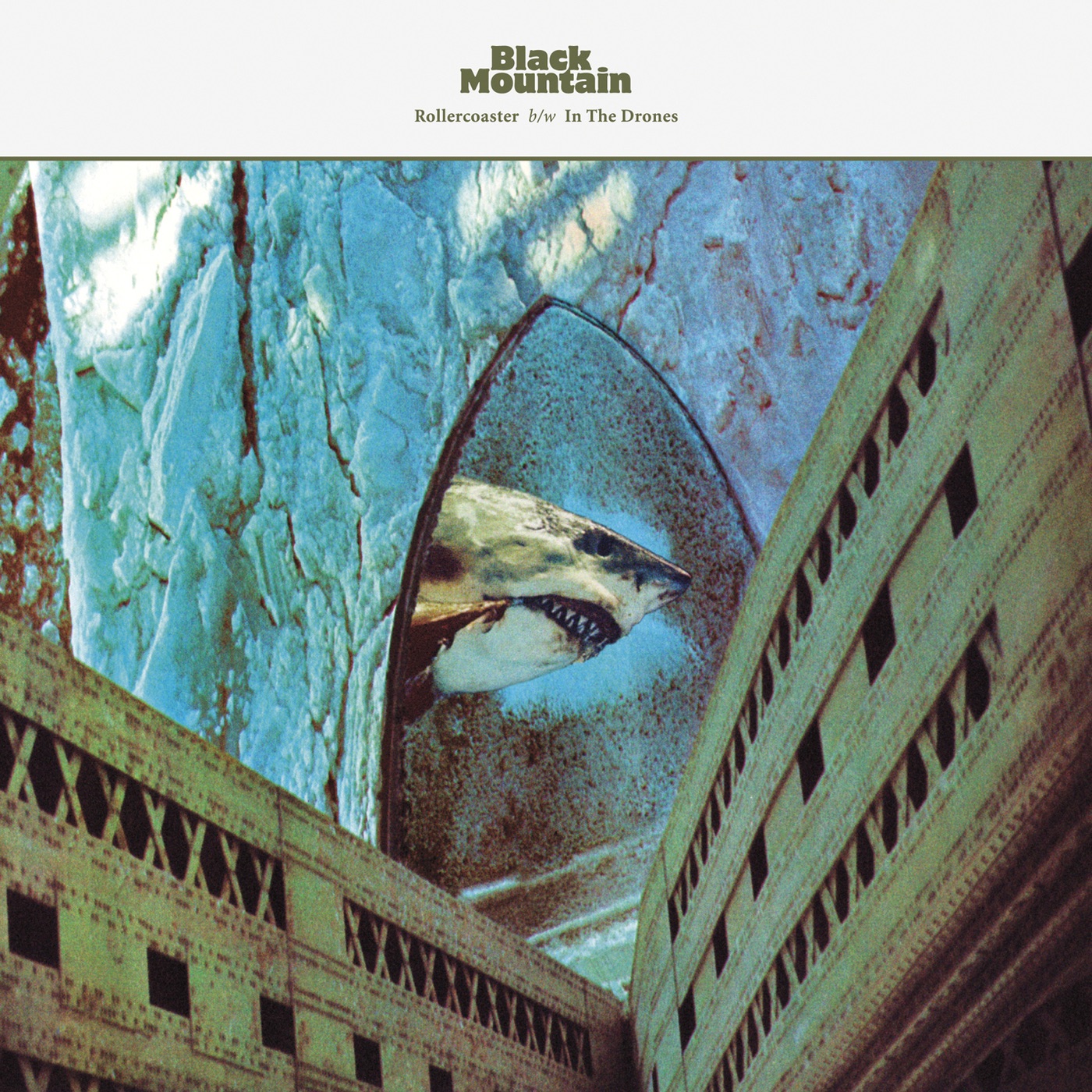 Rollercoaster / In the Drones - Single album cover