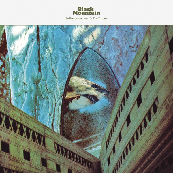 Rollercoaster / In the Drones - Single album cover