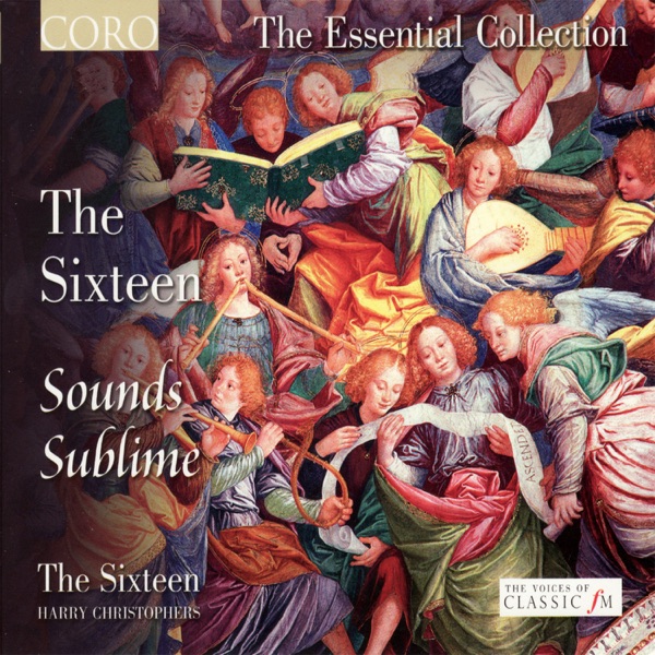 Sounds Sublime (The Essential Collection) album cover