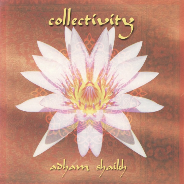 Collectivity (Re-mastered,Bonus Tracks) album cover