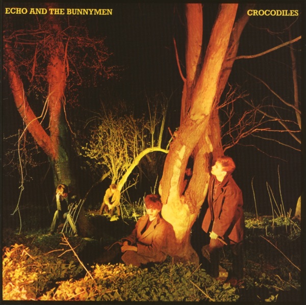 Crocodiles (Expanded Version) album cover