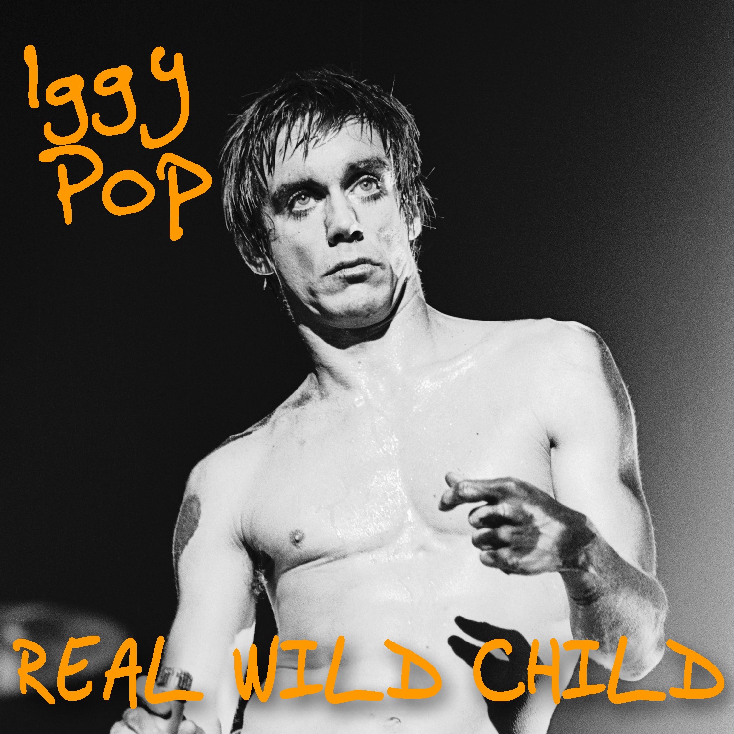 Real Wild Child (Best Of... Live) album cover
