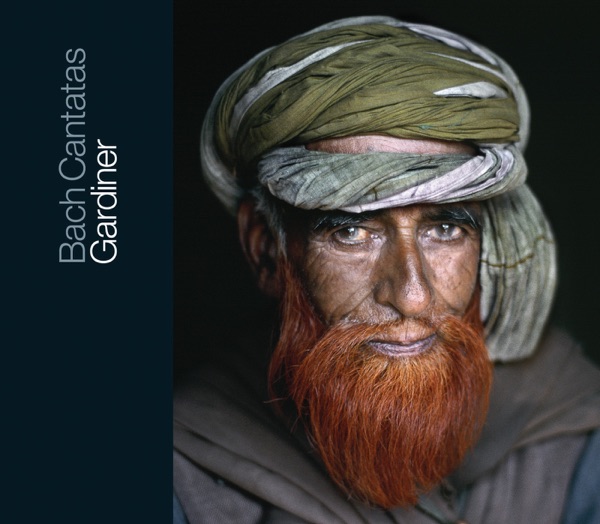 Bach: Cantatas, Vol. 12 album cover