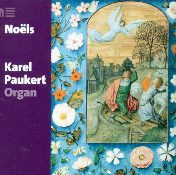 Noëls - Dandrieu, Daquin, Beauvarlet-charpentier, Corrette & Langlais: Organ Recital album cover