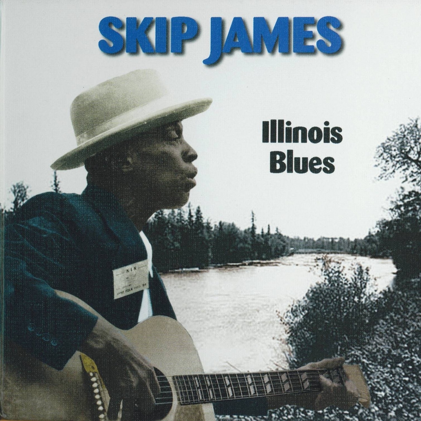 Illinois Blues album cover