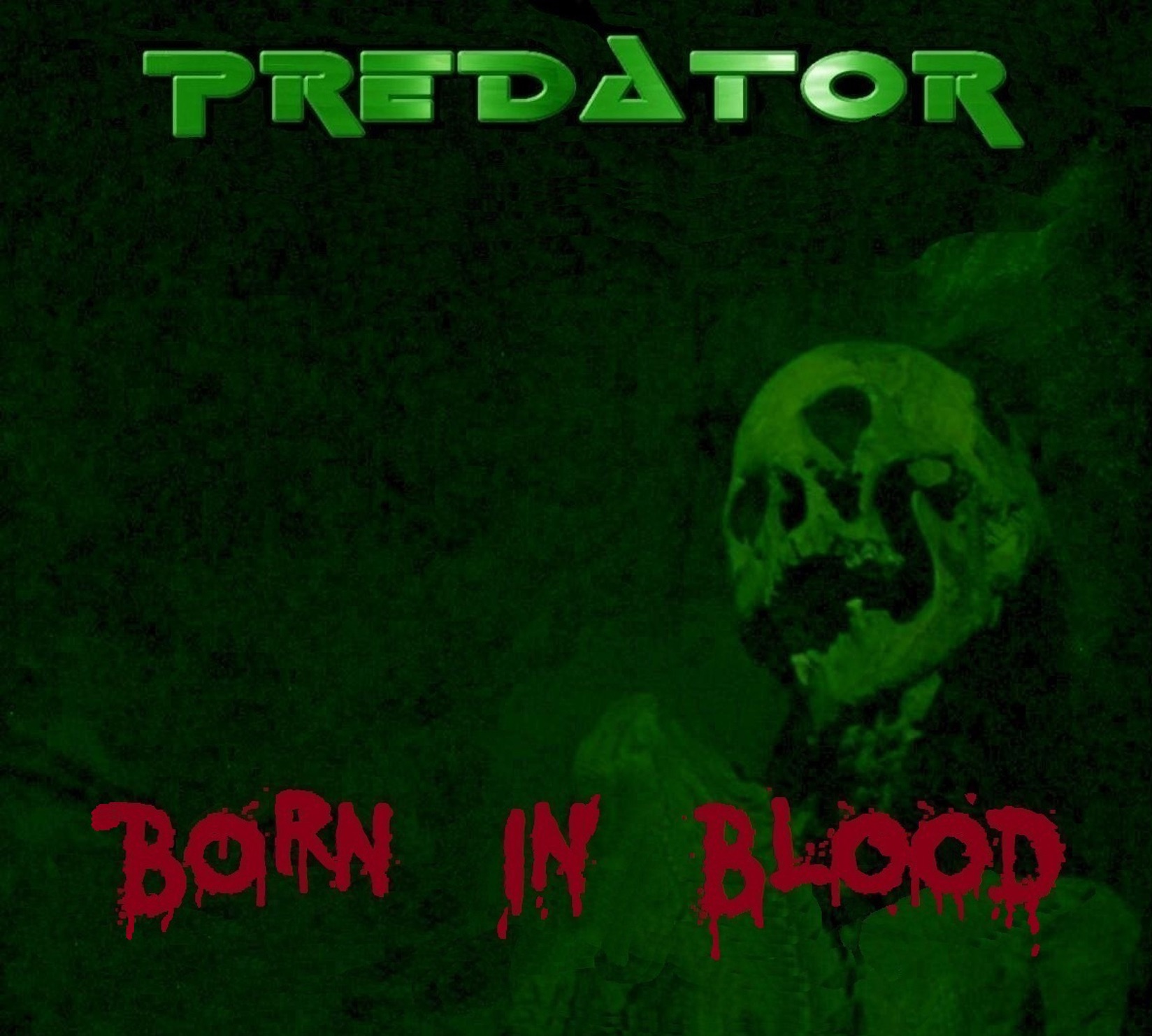 Born In Blood album cover