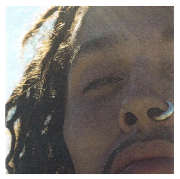 Beauty Is A FREE Road album cover