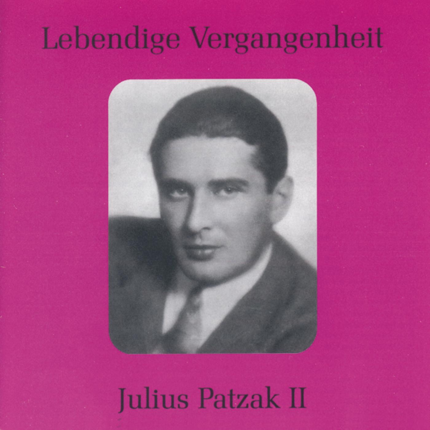 Lebendige Vergangenheit - Julius Patzak (Vol.2) album cover