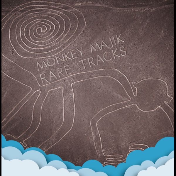 Rare Tracks album cover