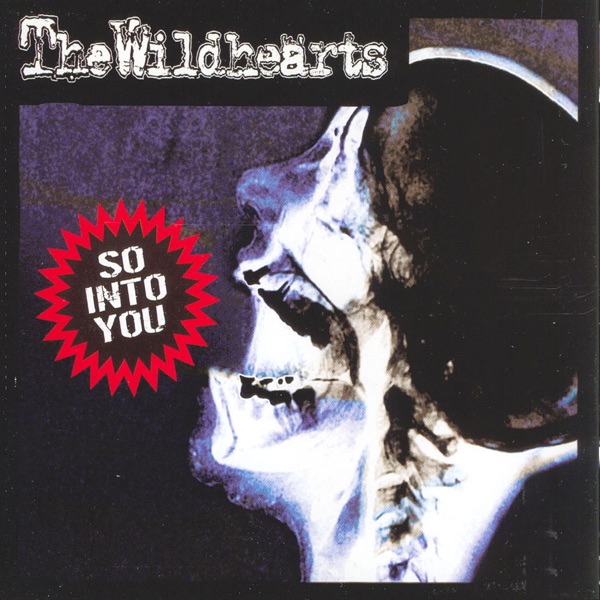 So Into You album cover