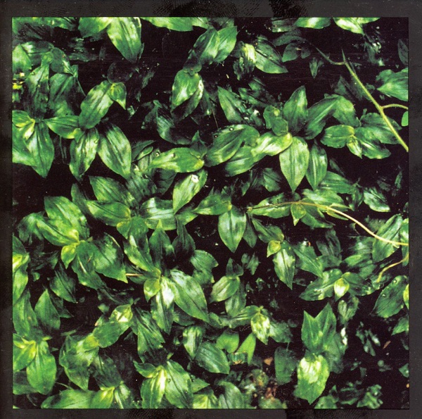 kokoro Ni Hana Wo album cover