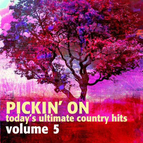 Pickin' On Today's Ultimate Country Hits, Vol. 5 album cover