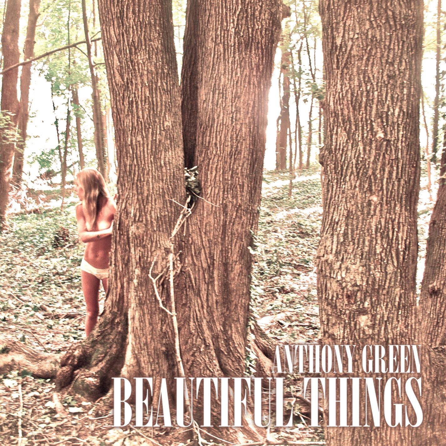 Beautiful Things album cover
