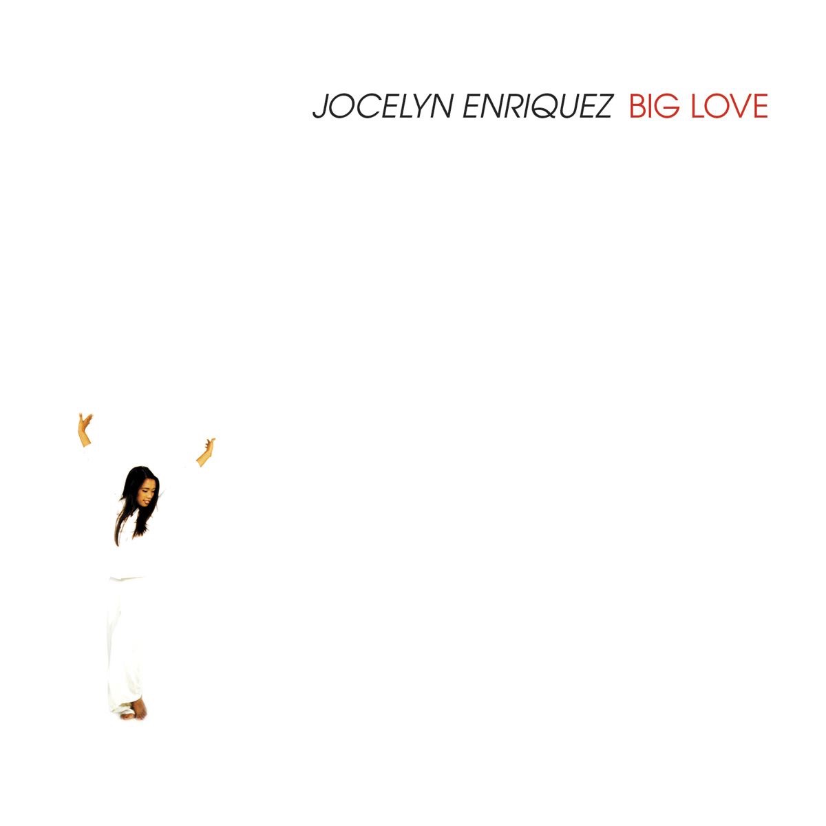 Big Love album cover