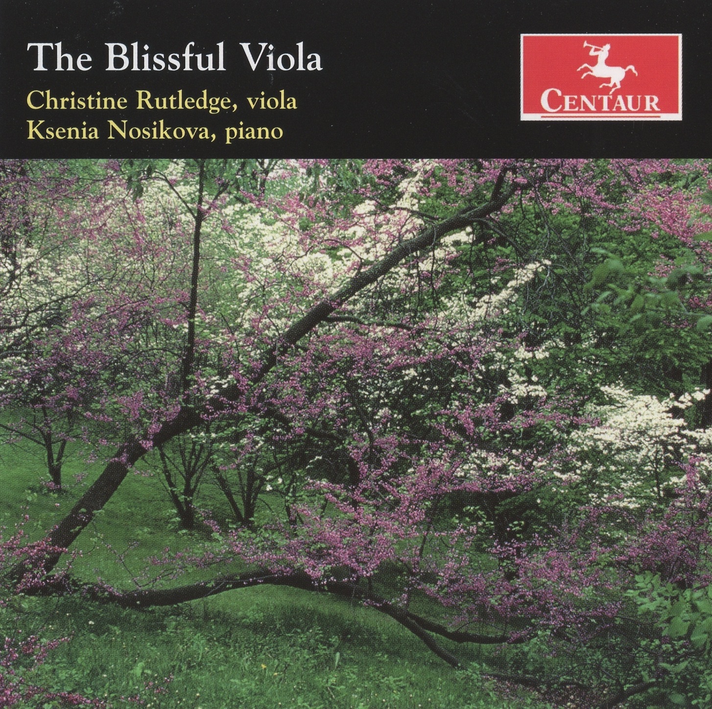 The Blissful Viola album cover