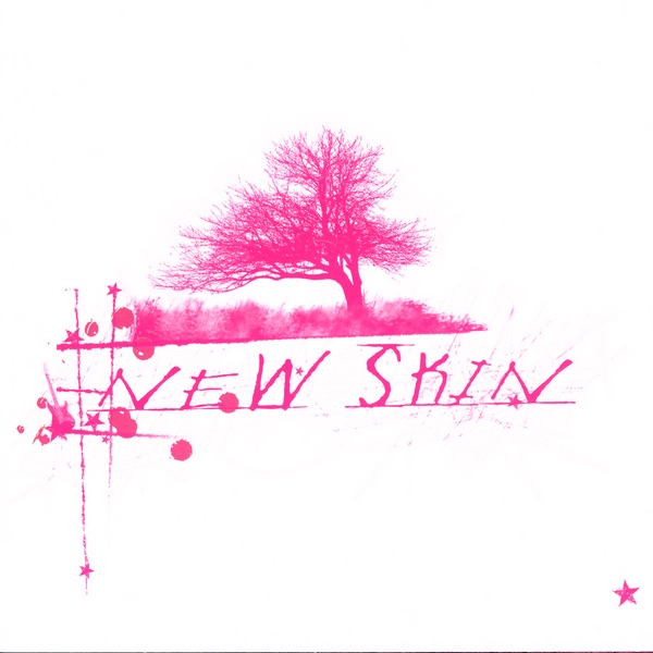 New Skin album cover