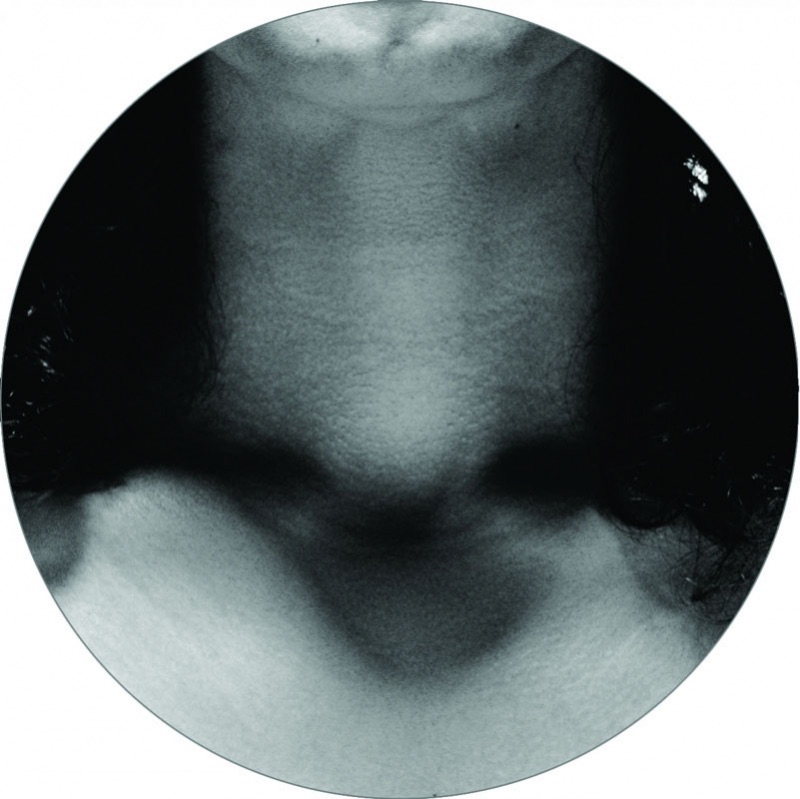 Metisse 05 album cover