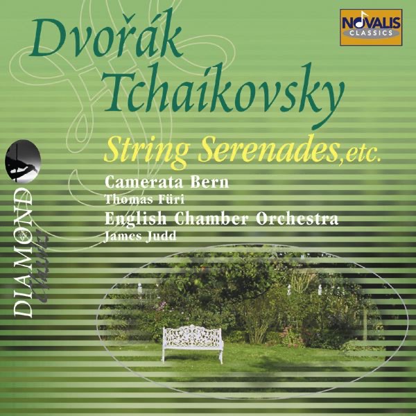 Dvořák, Tchaikovsky: String Serenades Etc. album cover