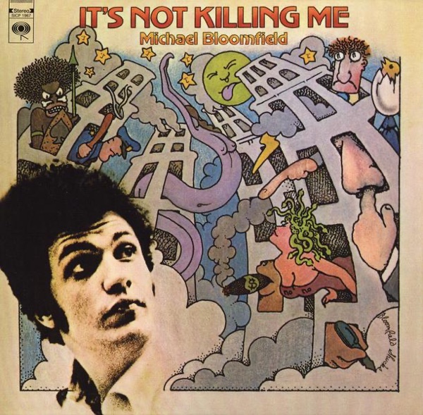 It's Not Killing Me album cover