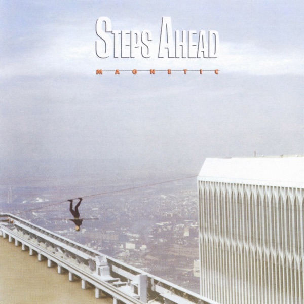 Magnetic album cover