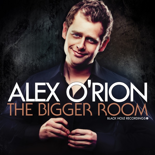 The Bigger Room album cover