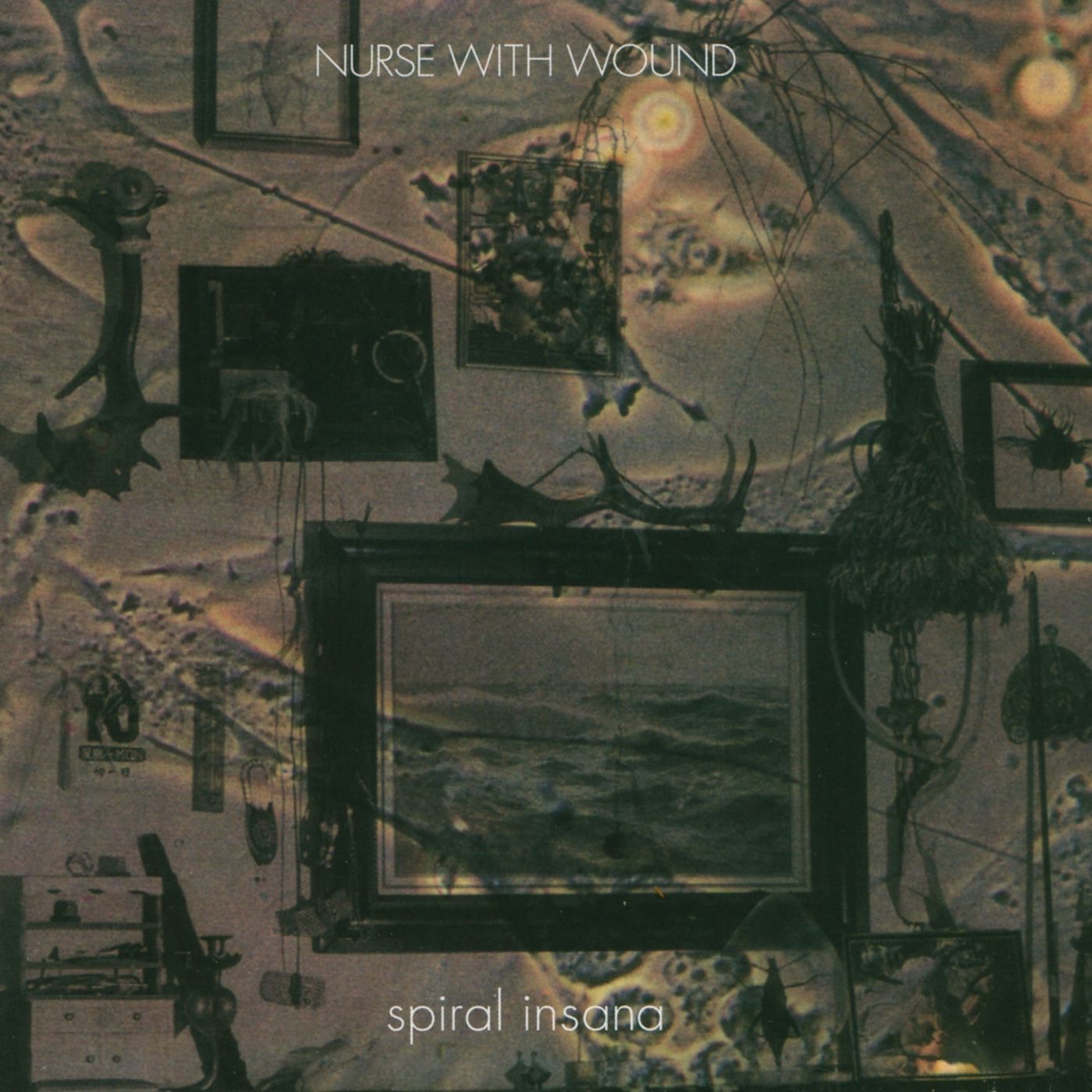 Spiral Insana album cover