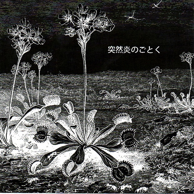 Suddenly, Like Flames album cover