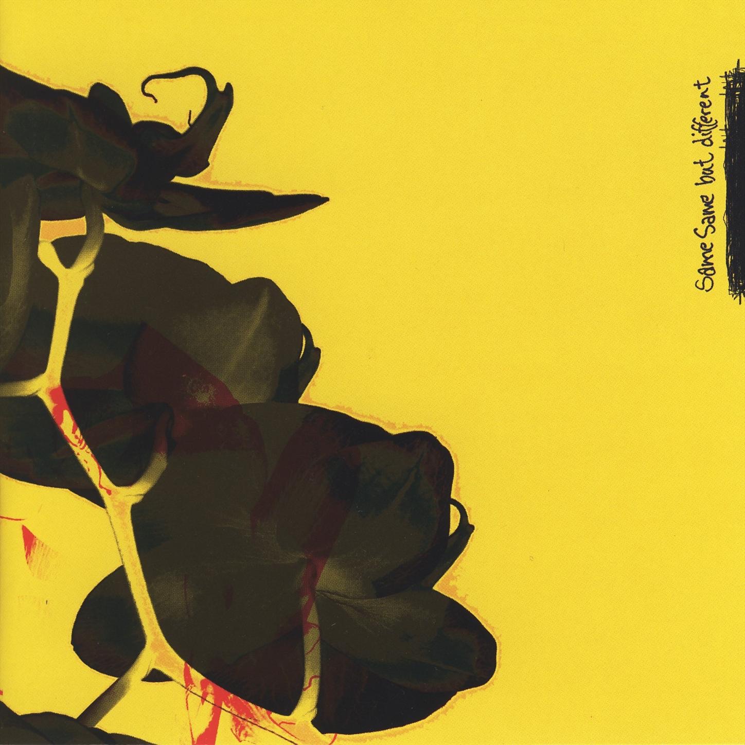 Same Same, But Different album cover