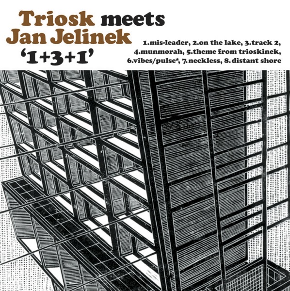 1+3+1 (Triosk Meets Jan Jelinek) album cover