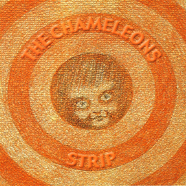 Strip album cover