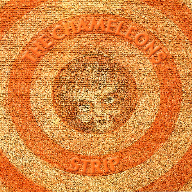 Strip album cover
